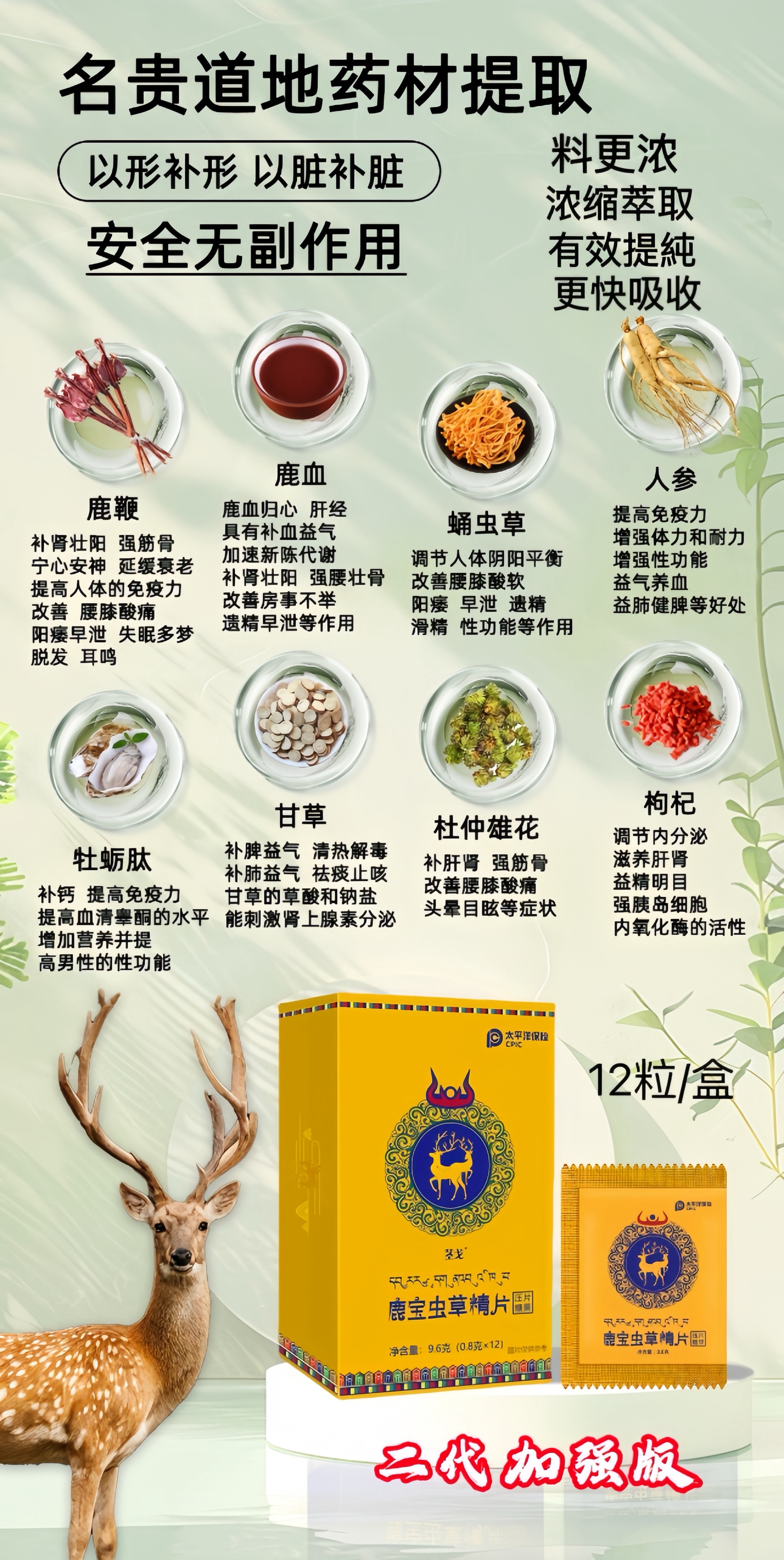二代鹿宝虫草精片主要成分